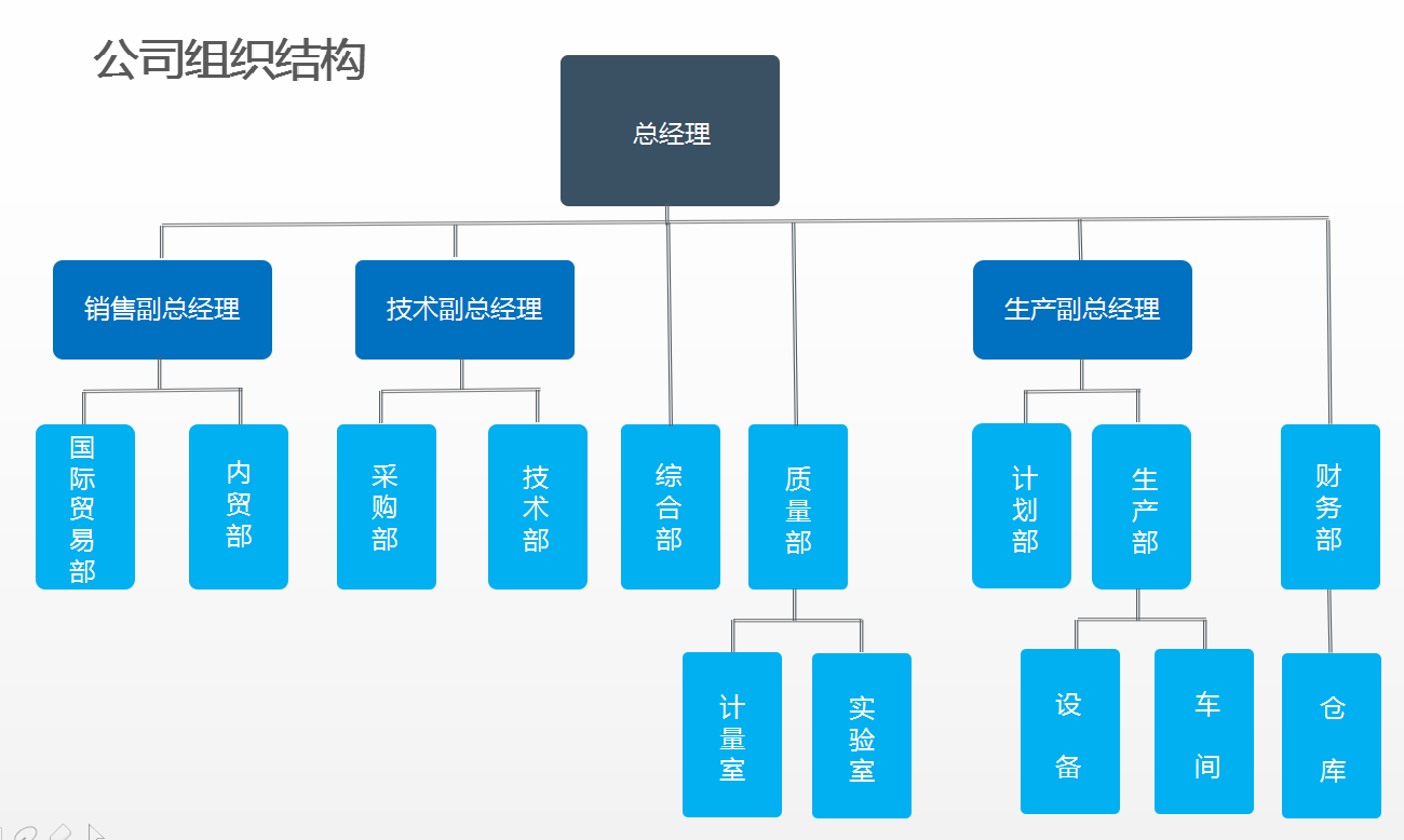 雙正回轉(zhuǎn)支承公司組織機(jī)構(gòu)